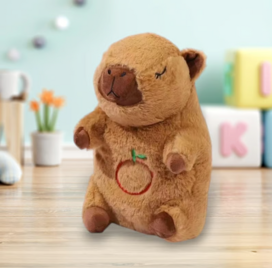 Capimimos🧸✨